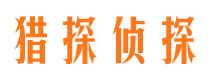 天河侦探公司